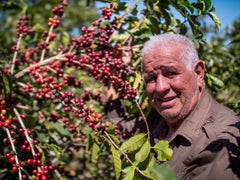 Fidalgo coffee fair trade month