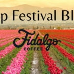 Tulip festival blend is here