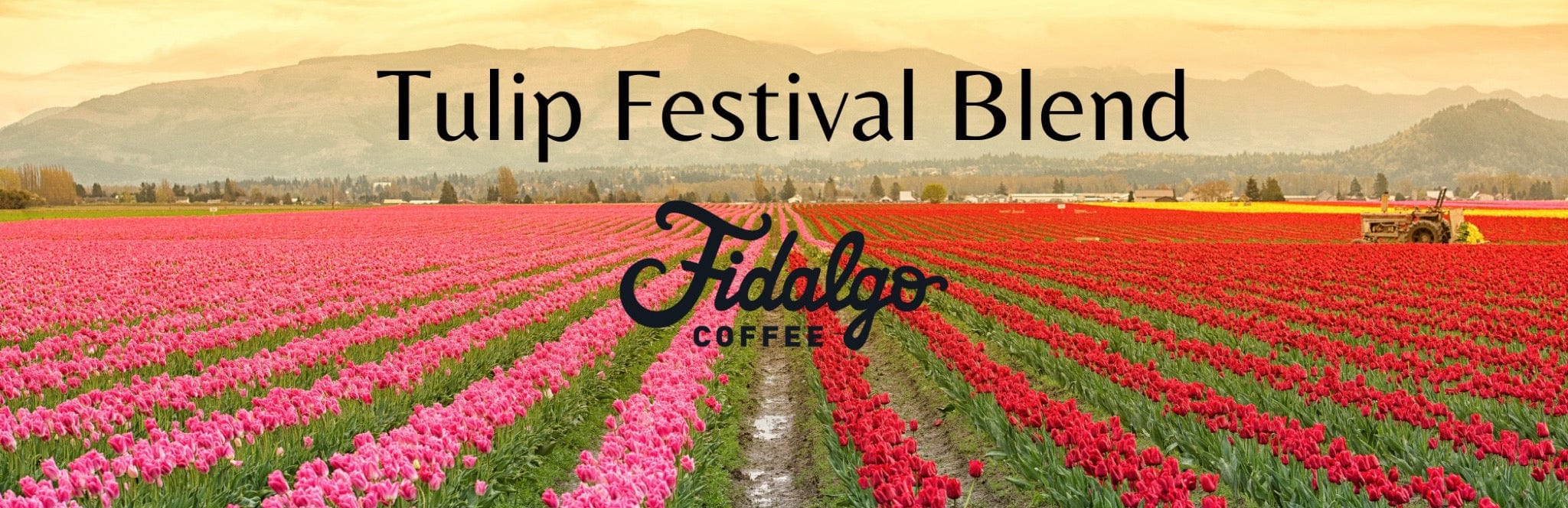 Tulip Festival Blend Banner