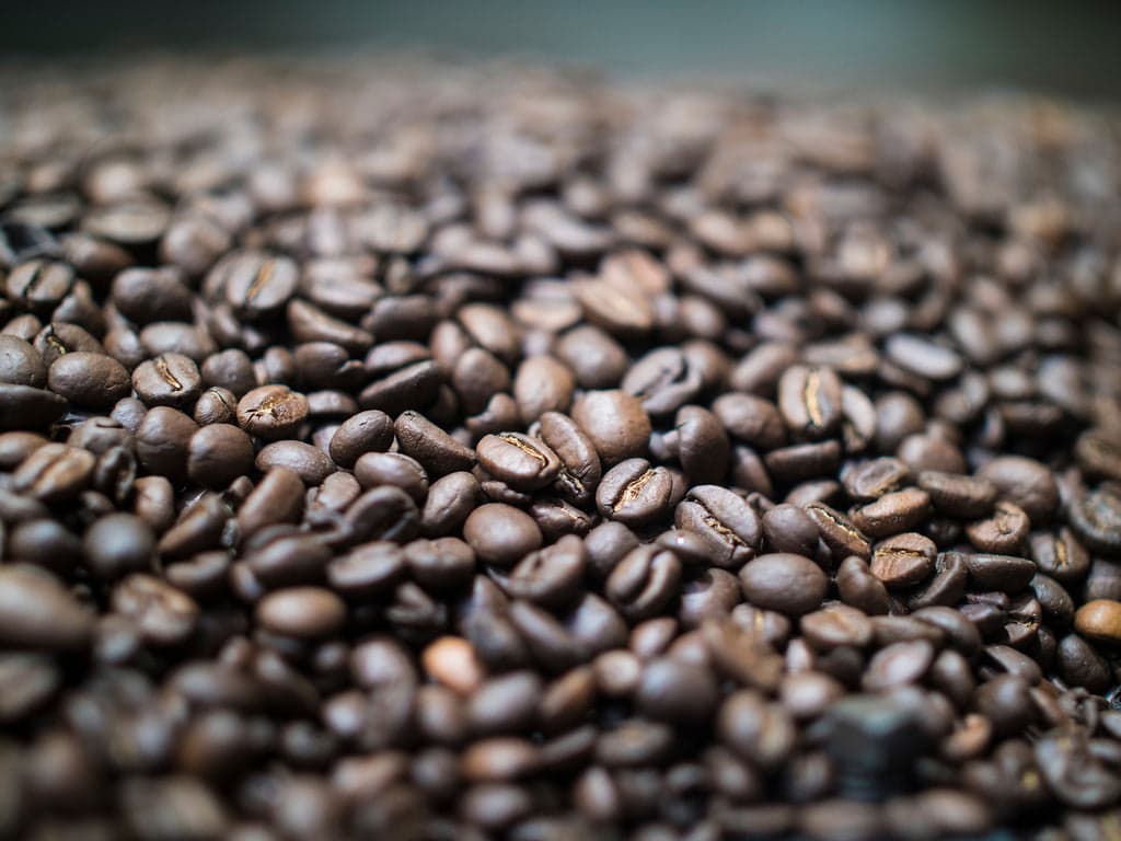 Fair trade coffee beans at fidalgo