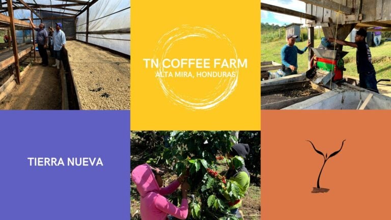 Tierra Nueva Farm Coffee